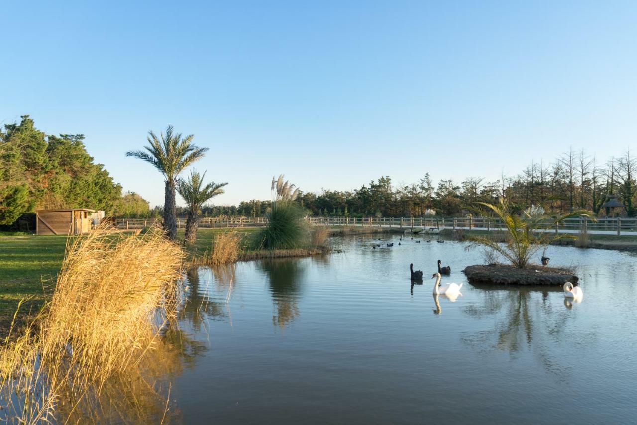 سان جيل Abri Cosy - Suite Romantique En Camargue المظهر الخارجي الصورة